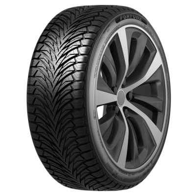 Шины Fortune Fitclime FSR-401 205/50 R17 93W